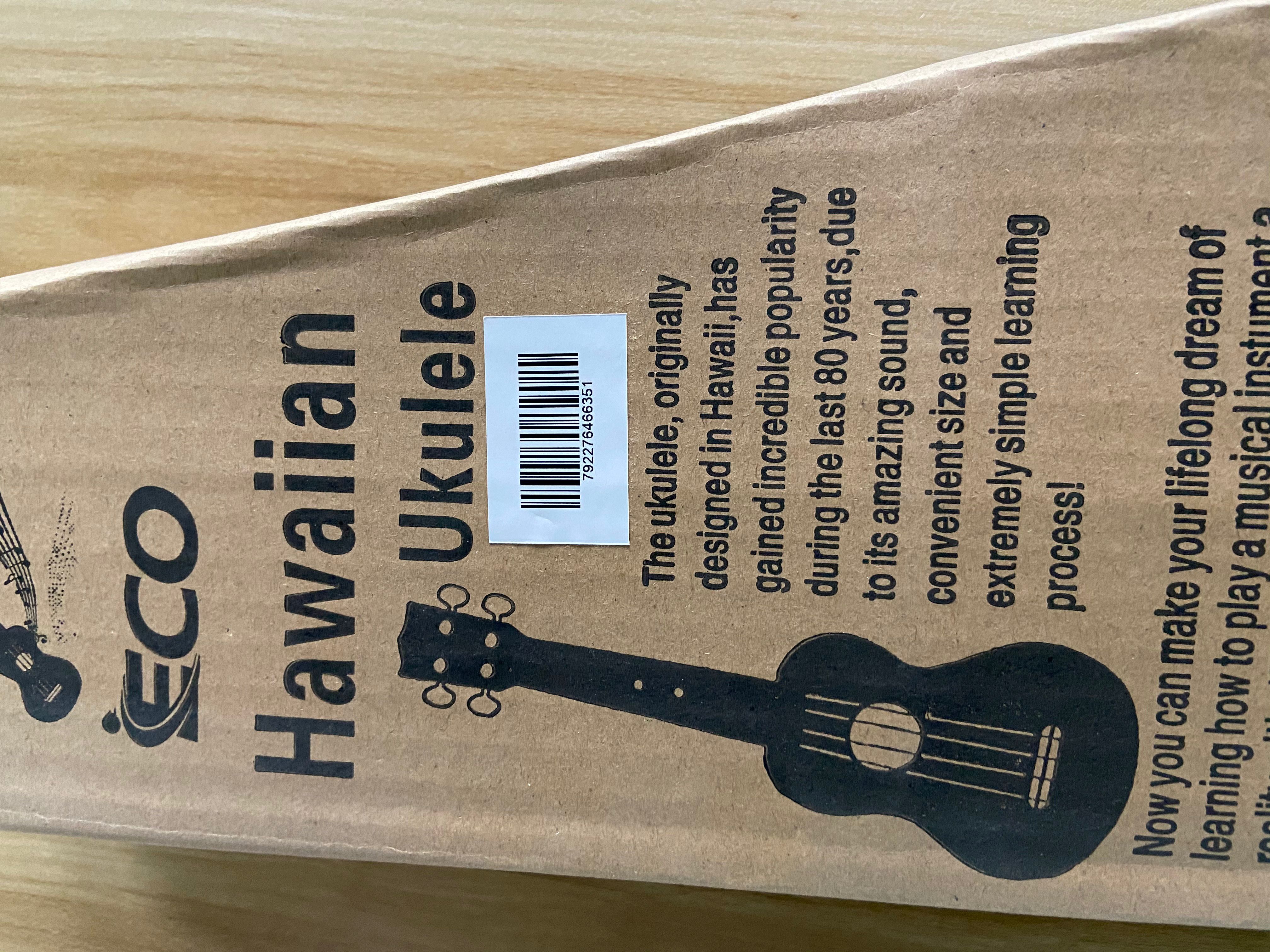 Concert Ukulele Beginner Kit