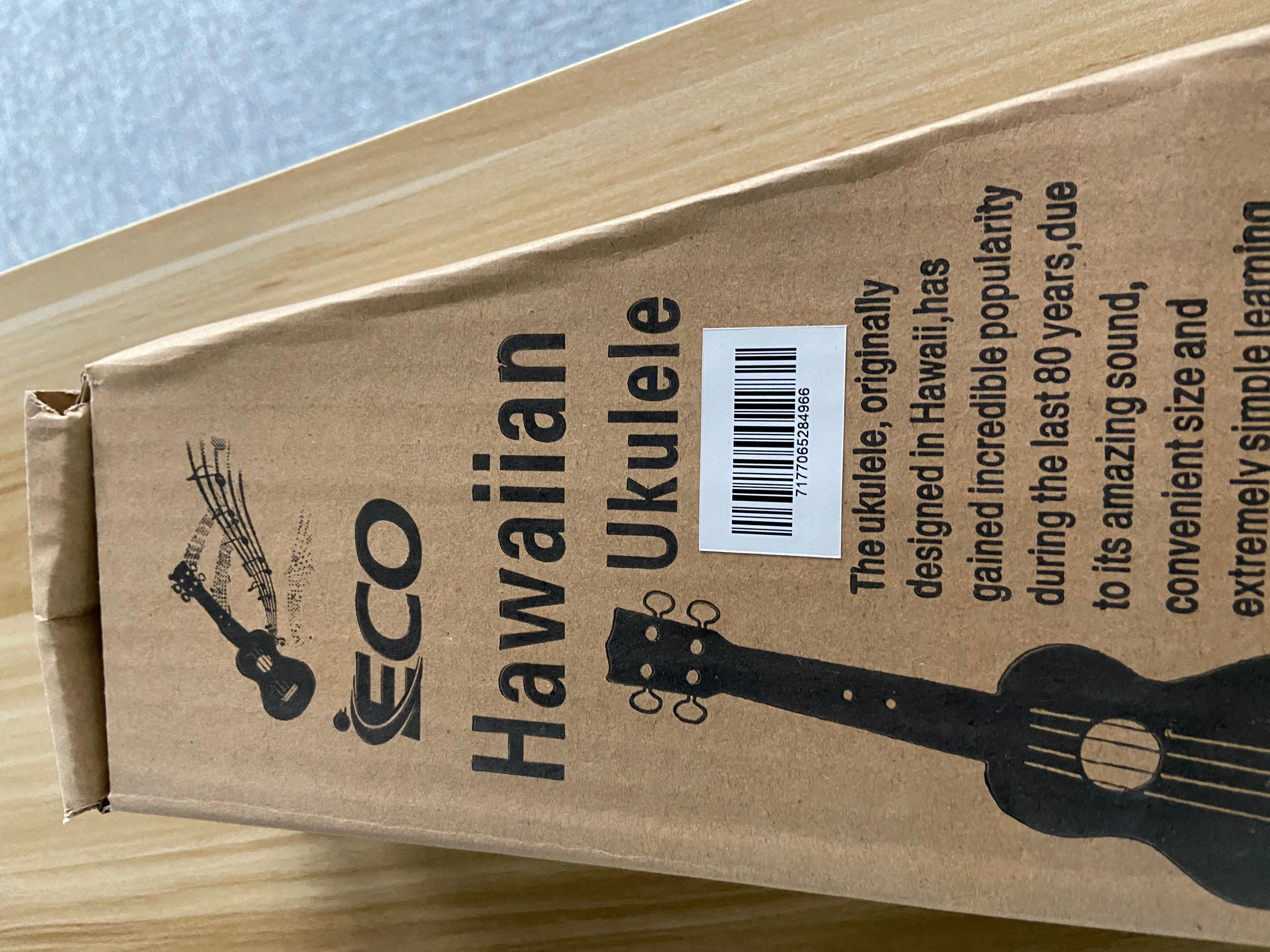 iECO Soprano Ukulele Beginner Kit - 副本