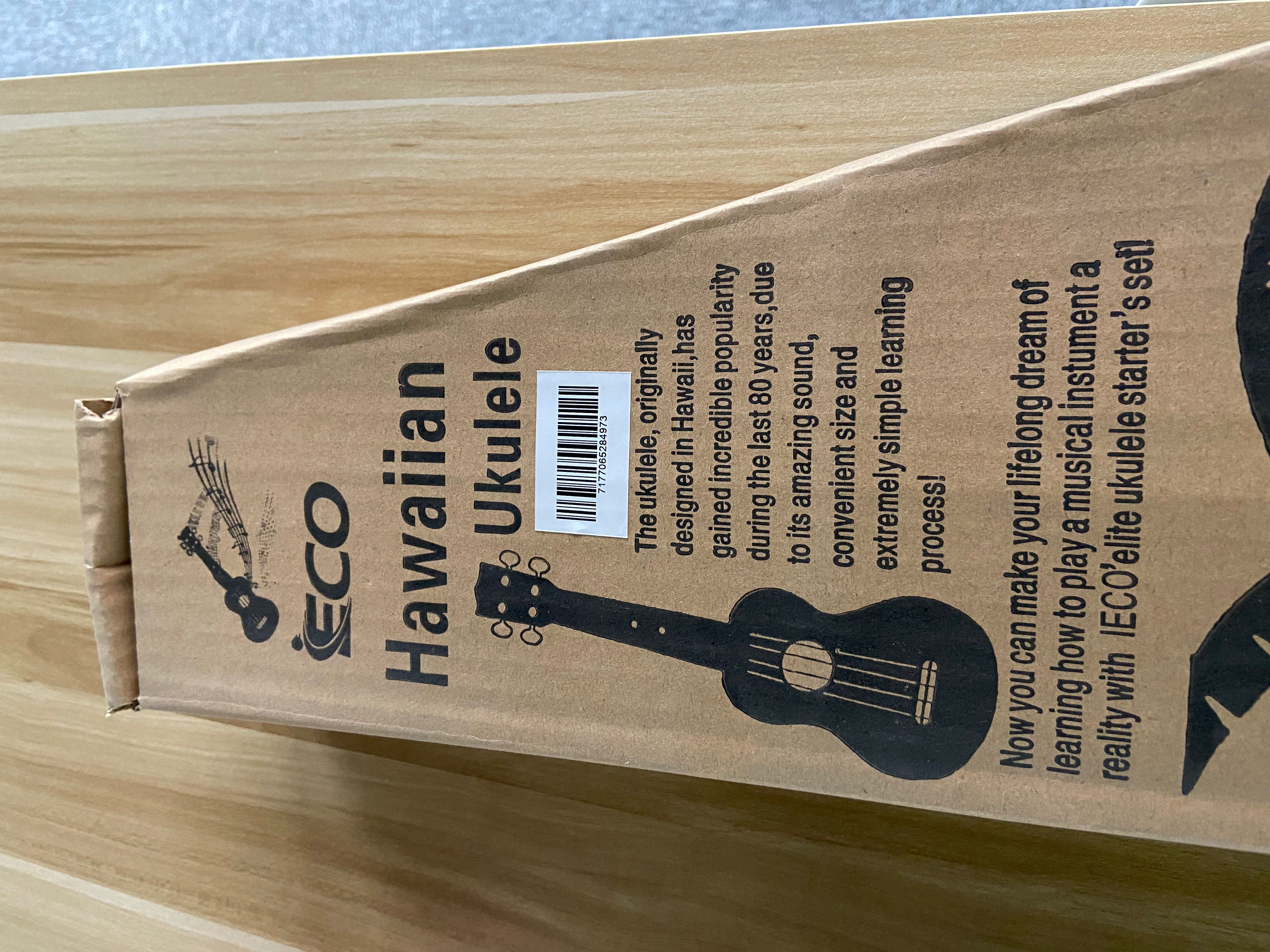 iECO Soprano Ukulele Beginner Kit - 副本