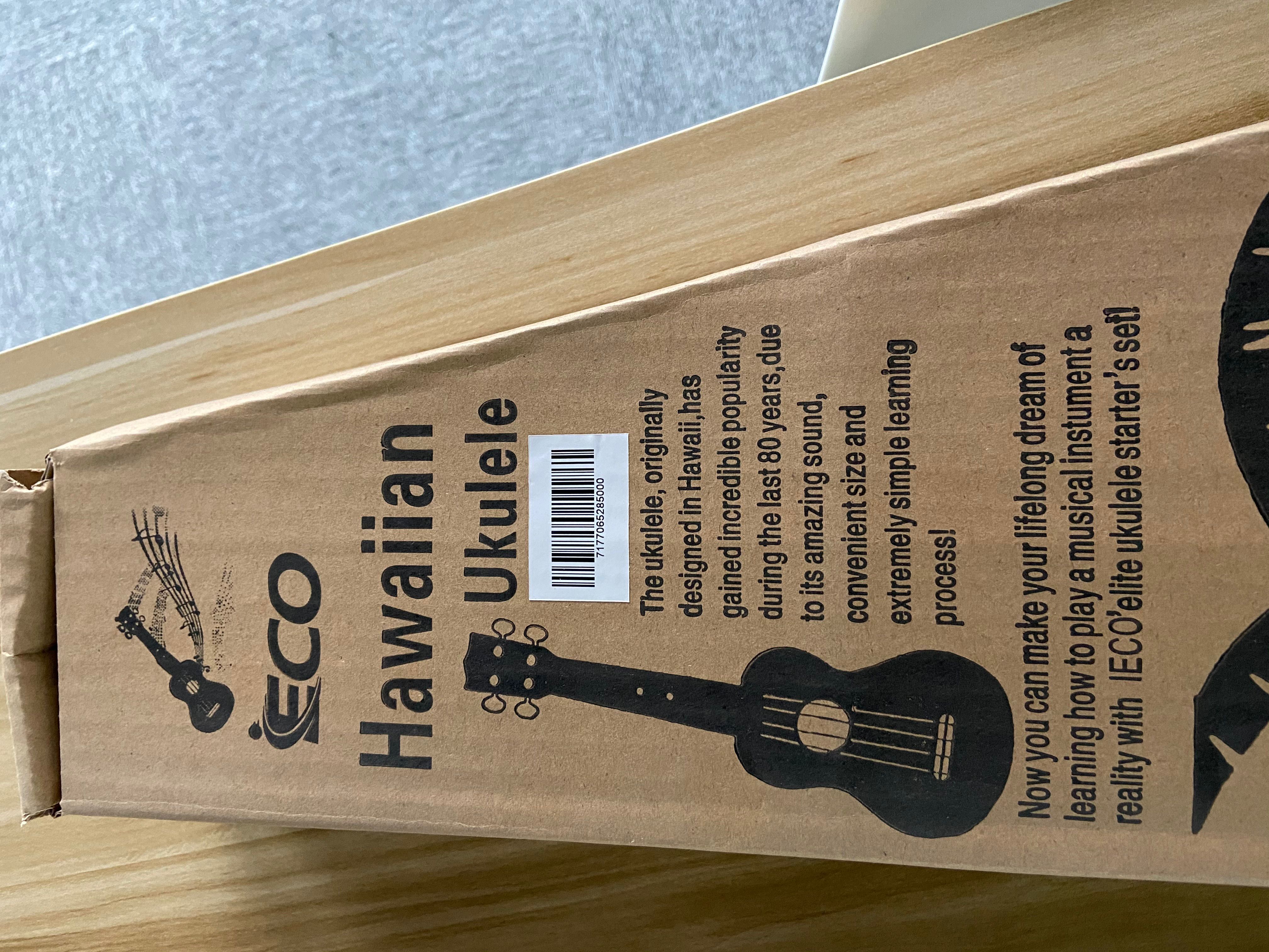 iECO Soprano Ukulele Beginner Kit - 副本